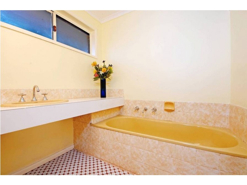 11 Rigo Street, Belmont VIC 3216