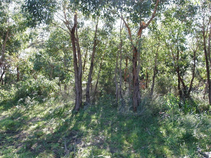 224 Coombes Road, Torquay VIC 3228