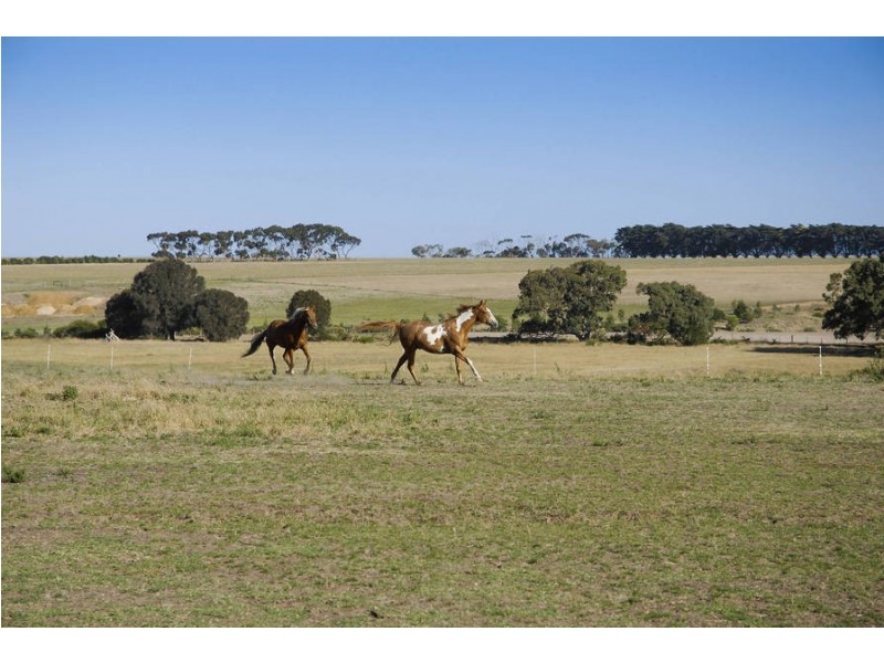 2 McCanns Road, Mount Duneed VIC 3216