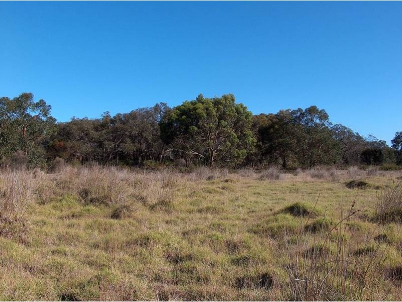 Lot 34, 36, 37 & 50,  Frog Hollow, Torquay VIC 3228