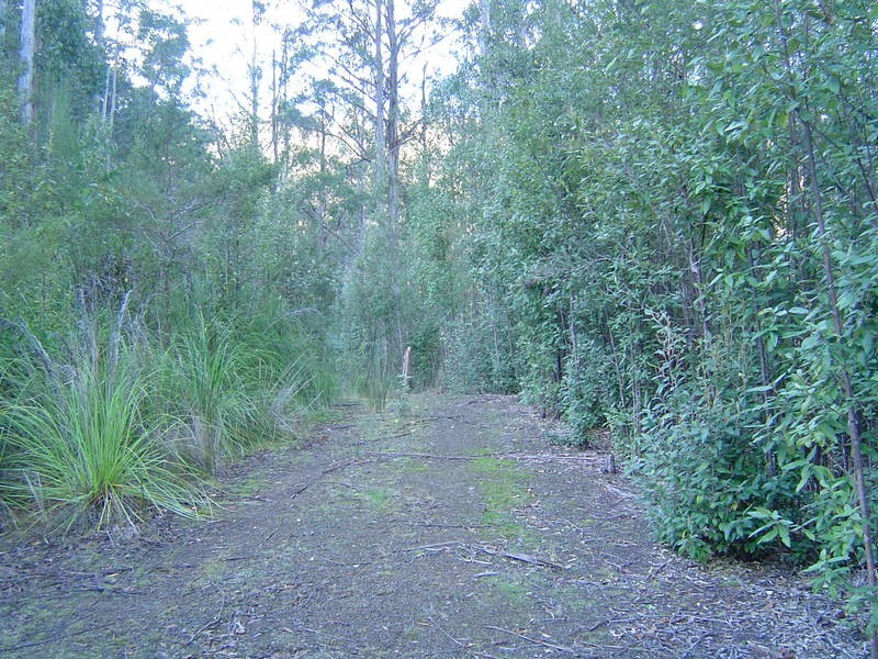 291 Guys Road, Cygnet TAS 7112