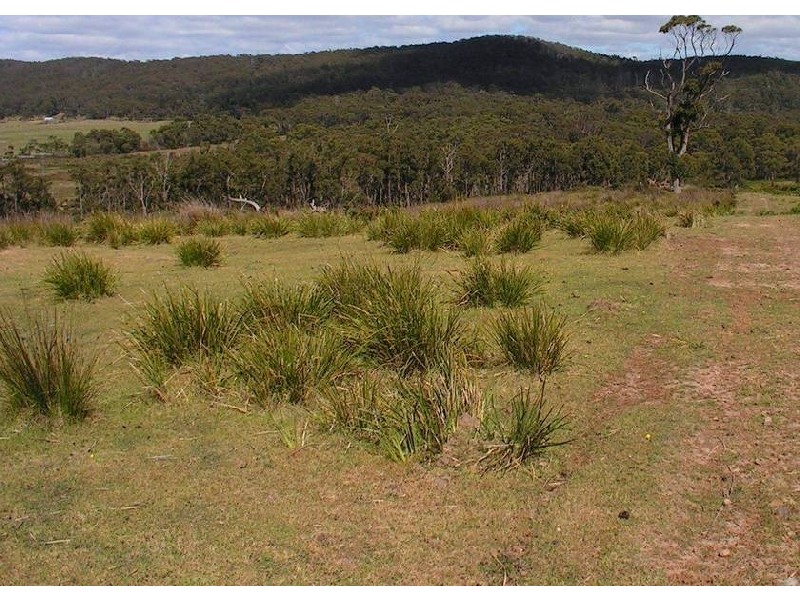 12 Tramways Road, South Bruny TAS 7150