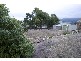 65 Hutchins Street, Kingston TAS 7050