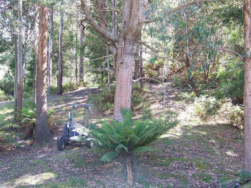 273 Casey’s Road, Nicholls Rivulet TAS 7112