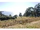 4768 Channel Highway, Gordon TAS 7150