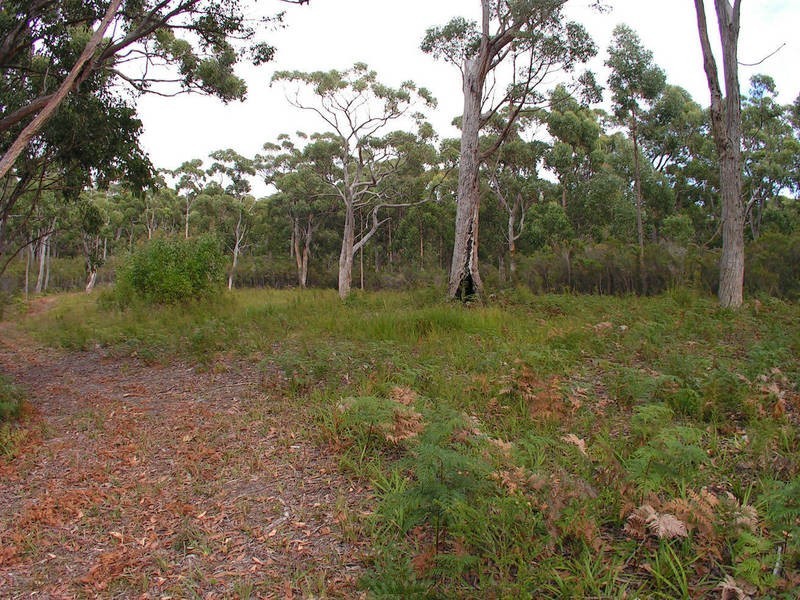 Lot 2/53 Adventure Bay Road, Adventure Bay TAS 7150