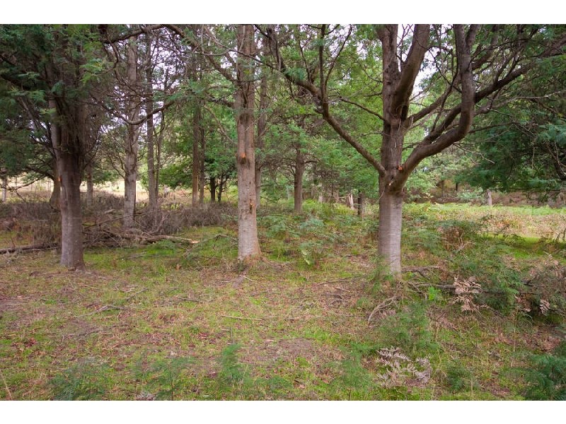 5 Batchelors Road, Nicholls Rivulet TAS 7112