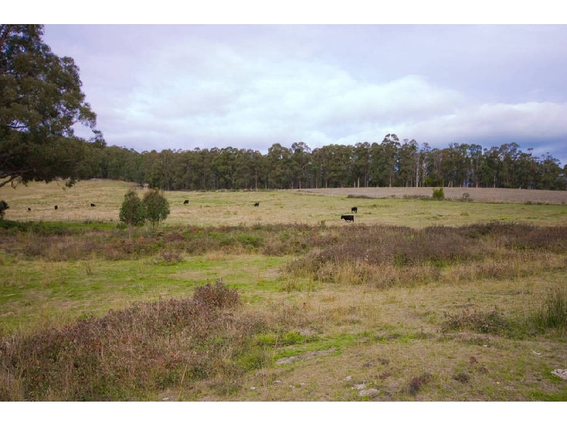 5 Batchelors Road, Nicholls Rivulet TAS 7112