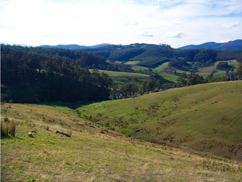 50 Wallace Rd, Cygnet TAS 7112