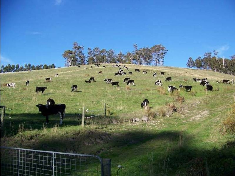 50 Wallace Rd, Cygnet TAS 7112