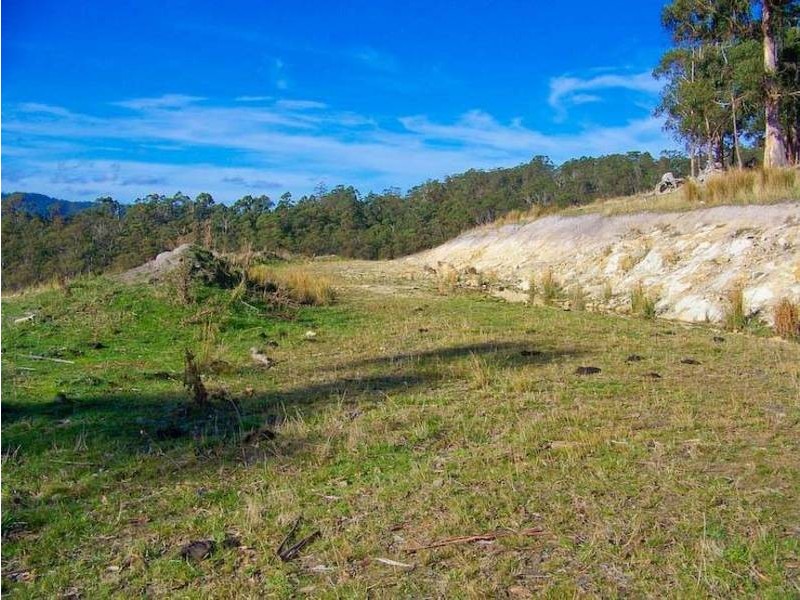 50 Wallace Rd, Cygnet TAS 7112