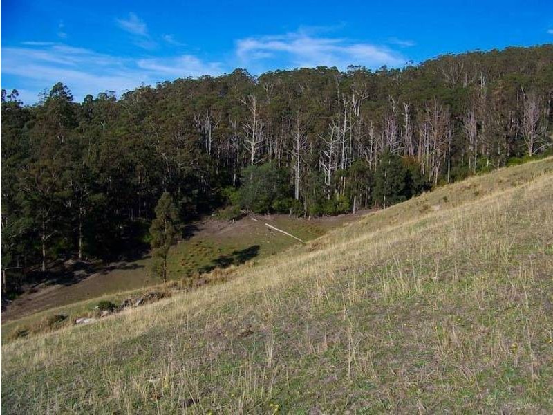 50 Wallace Rd, Cygnet TAS 7112