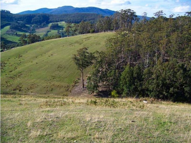 50 Wallace Rd, Cygnet TAS 7112