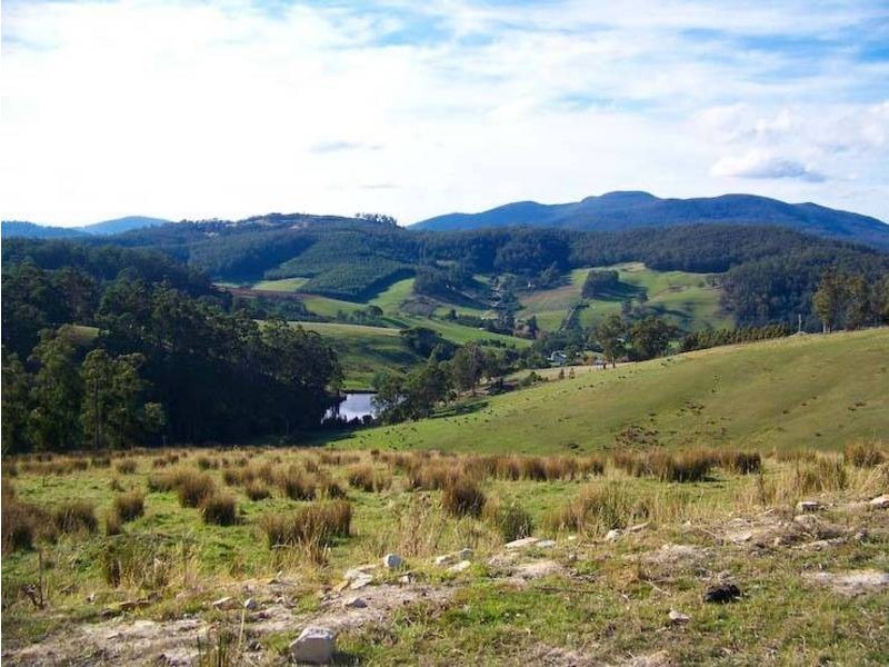 50 Wallace Rd, Cygnet TAS 7112