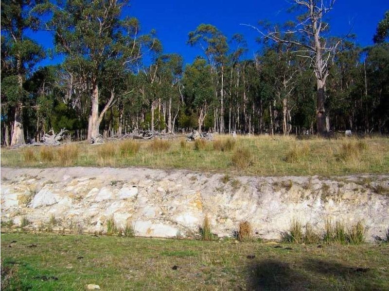50 Wallace Rd, Cygnet TAS 7112