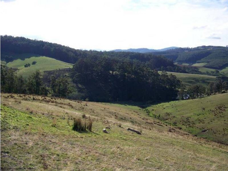 50 Wallace Rd, Cygnet TAS 7112