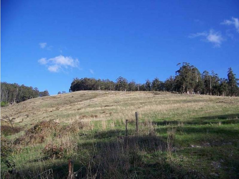 50 Wallace Rd, Cygnet TAS 7112