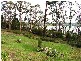 188 Lighthouse Road, South Bruny TAS 7150