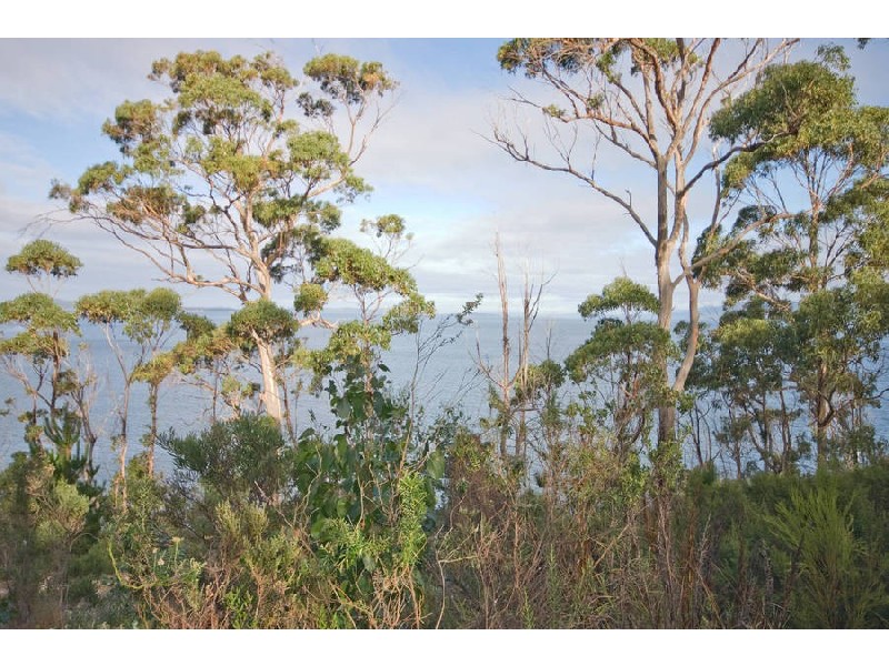 1874 Channel Highway, Gordon TAS 7150