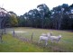 40 Old Bernies Rd, Margate TAS 7054