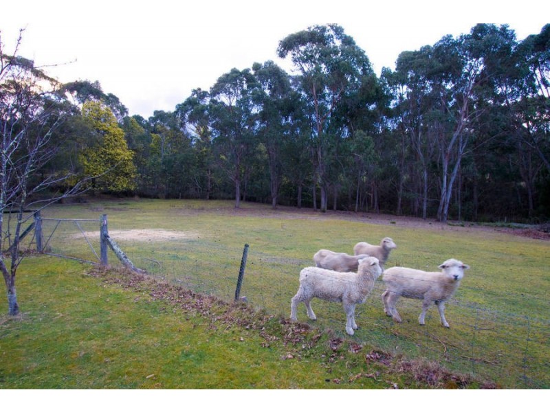 40 Old Bernies Rd, Margate TAS 7054