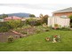 6 Antonio Court, Kingston TAS 7050