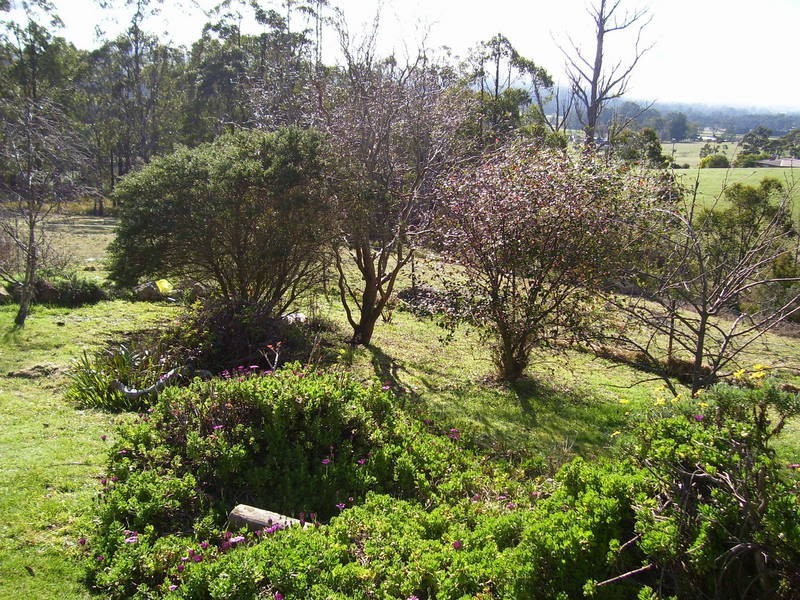 29 Pine Lodge Road, Glen Huon TAS 7109