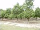 Beerwah QLD 4519