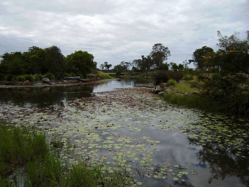 Little Mountain QLD 4551