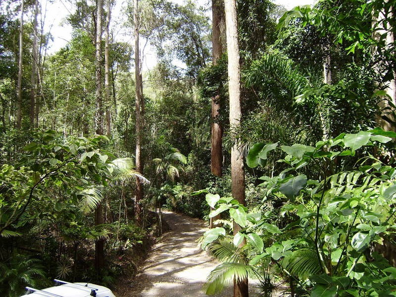 13 Rutherglen Drive, Buderim QLD 4556