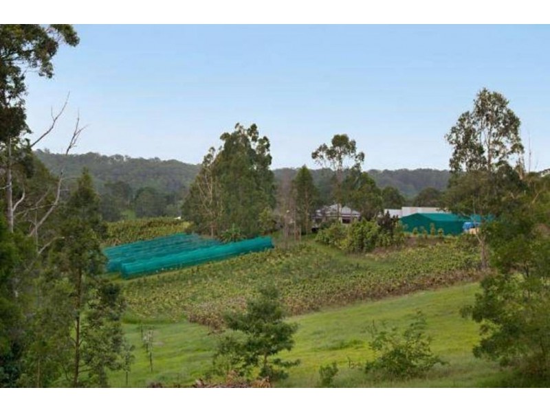 405 Kiels Mountain Road, Kiels Mountain QLD 4559