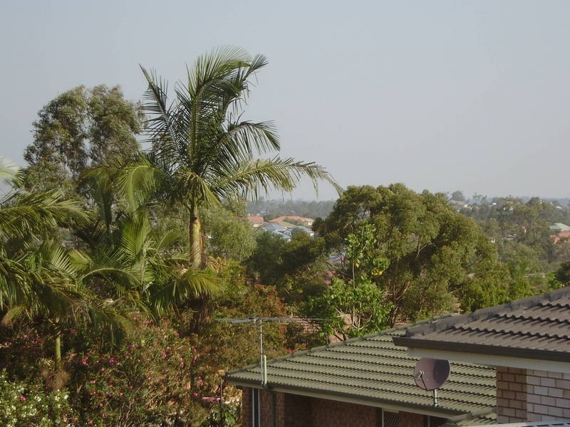 Lot 157, 7 Glenhurst Court, Springfield QLD 4300