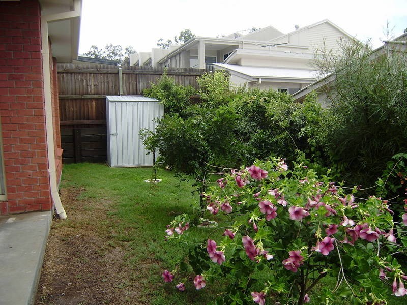 Springfield Lakes QLD 4300
