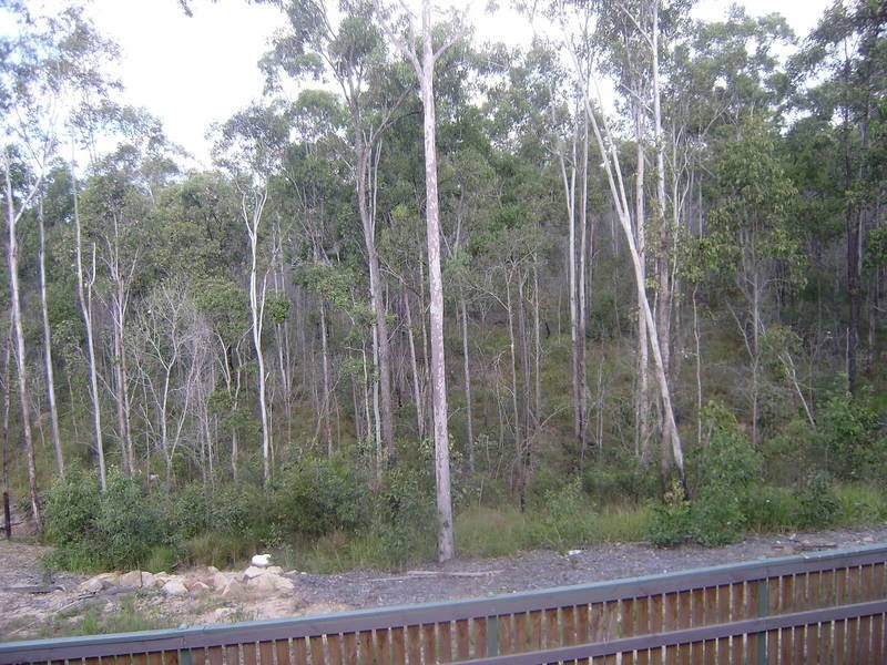 47 Lindeman Street, Springfield Lakes QLD 4300