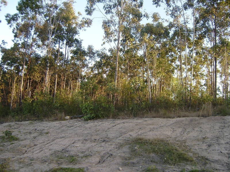 47 Lindeman Street, Springfield Lakes QLD 4300