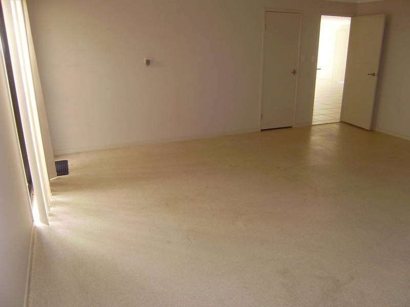 14 Amadeus Court, Springfield Lakes QLD 4300