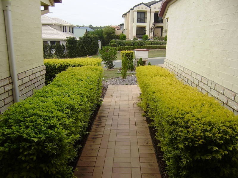 3 Myrtle Cresent, Brookwater QLD 4300