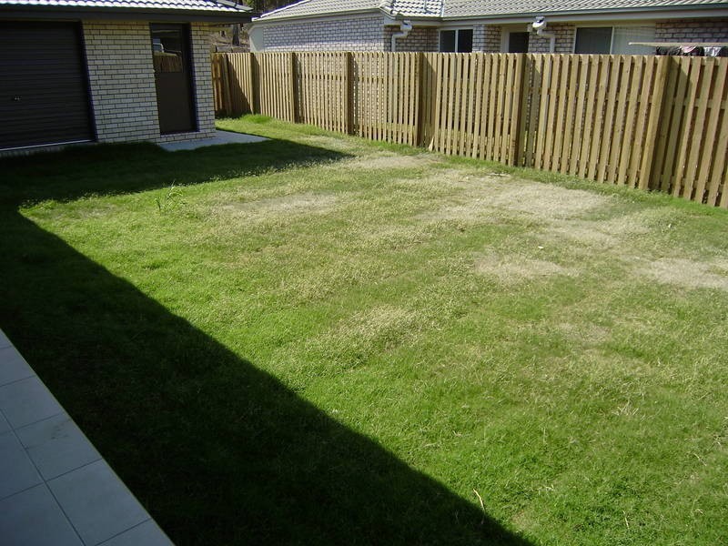 28 Brigid Blvd, Augustine Heights QLD 4300