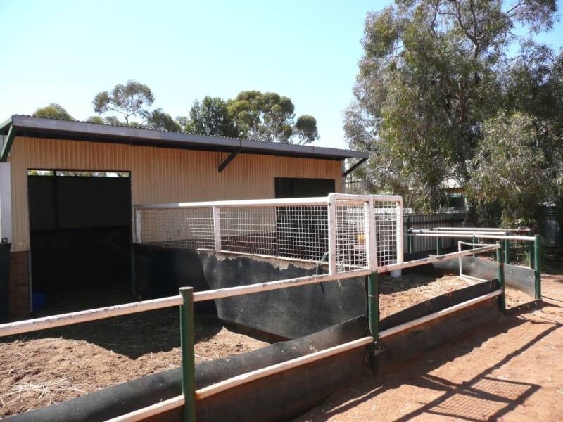 379 Piccadilly Street, Kalgoorlie WA 6430