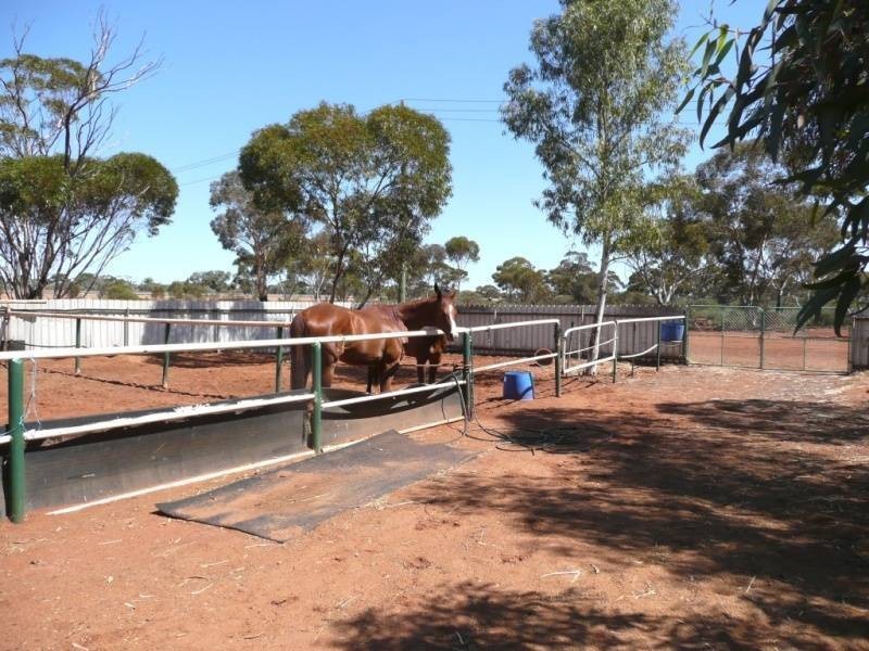 379 Piccadilly Street, Kalgoorlie WA 6430