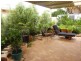 15 DeBernales Street, Kalgoorlie WA 6430