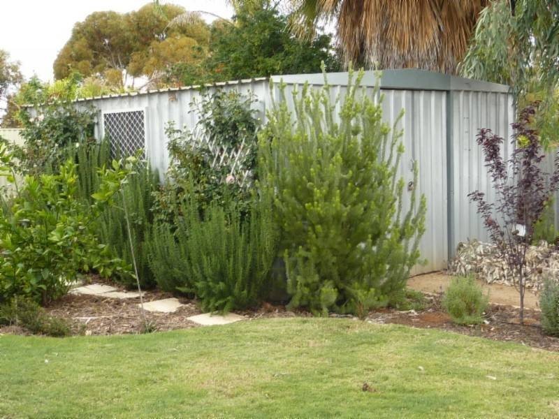 15 DeBernales Street, Kalgoorlie WA 6430