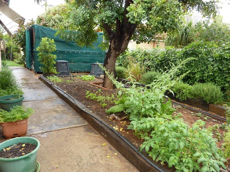 29  Dart St Boulder, Kalgoorlie WA 6430