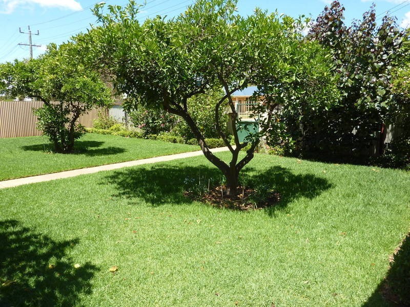 29  Dart St Boulder, Kalgoorlie WA 6430