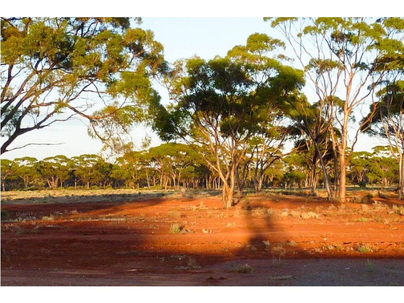 54 Smith Road, Coolgardie WA 6429