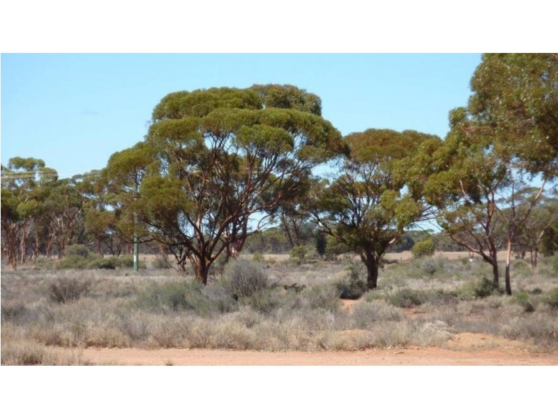 30 Azamor Drive  Boulder, Kalgoorlie WA 6430