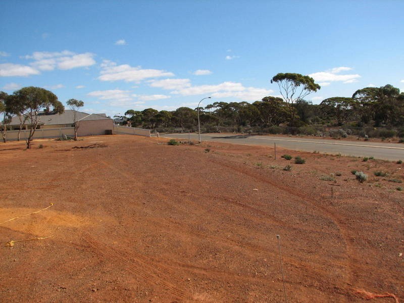 71 Paddington Drive, Hannans WA 6430