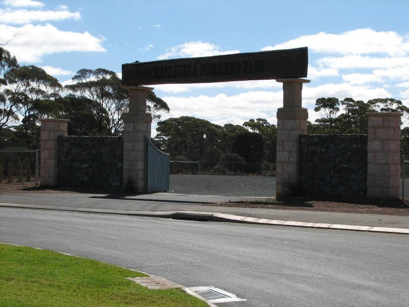 71 Paddington Drive, Hannans WA 6430