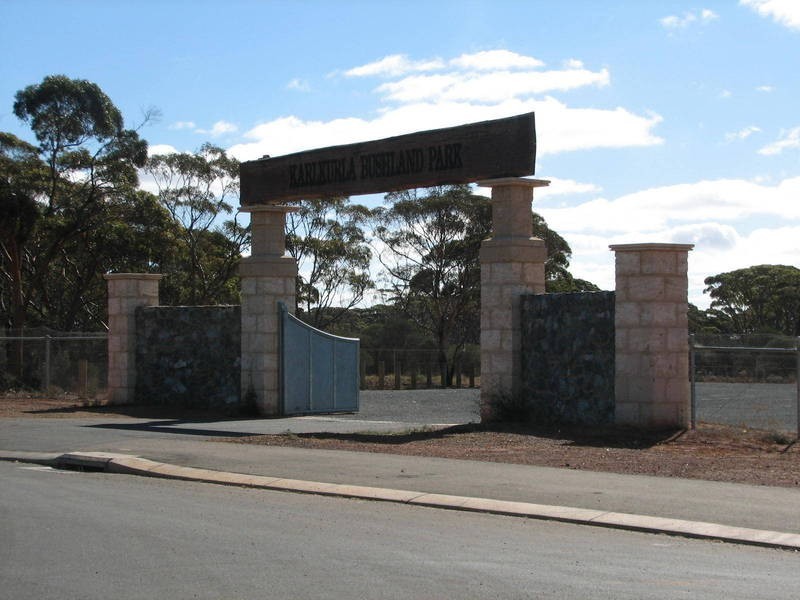 71 Paddington Drive, Hannans WA 6430