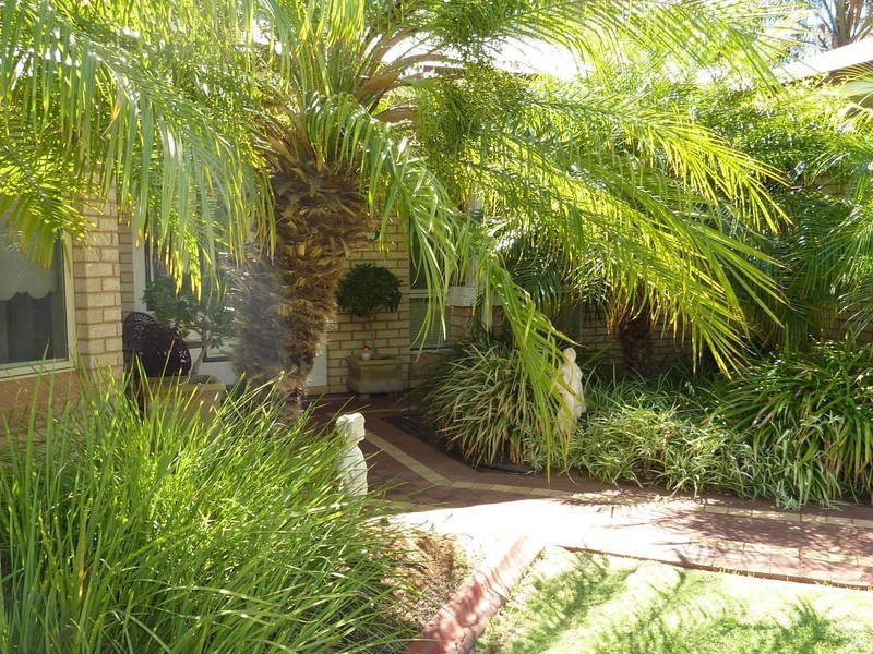 16 Geoffrey Stokes Pde, Kalgoorlie WA 6430